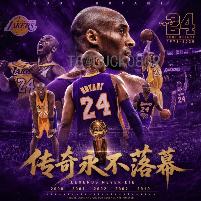 2026年美加墨世界杯球队名单前瞻：48强格局与热门预测